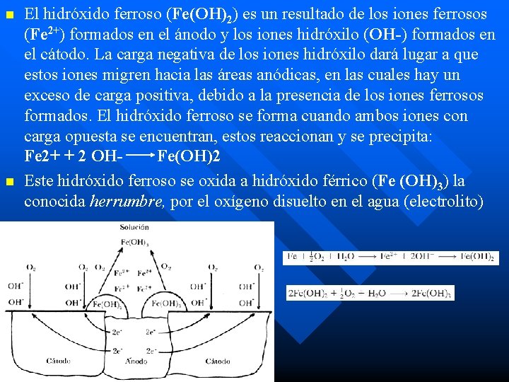 n n El hidróxido ferroso (Fe(OH)2) es un resultado de los iones ferrosos (Fe