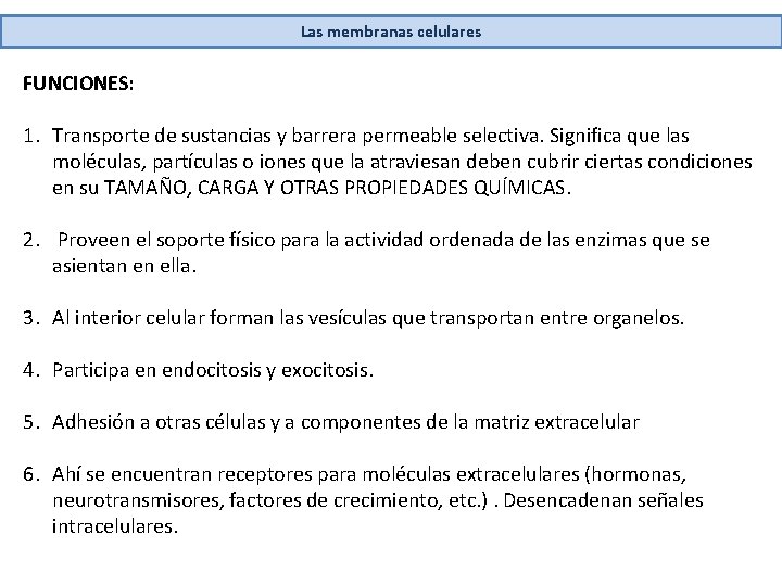 Las membranas celulares FUNCIONES: 1. Transporte de sustancias y barrera permeable selectiva. Significa que