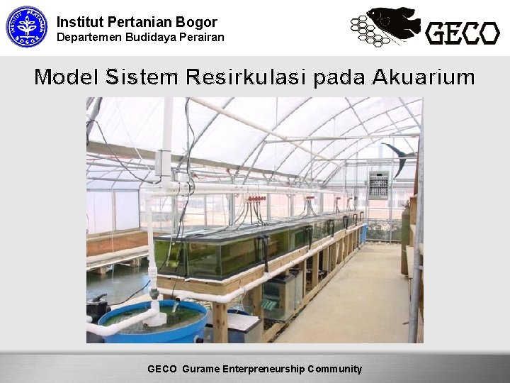 Institut Pertanian Bogor Departemen Budidaya Perairan Model Sistem Resirkulasi pada Akuarium Here comes your