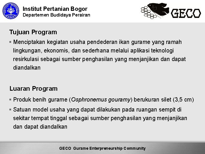 Institut Pertanian Bogor Departemen Budidaya Perairan Tujuan Program § Menciptakan kegiatan usaha pendederan ikan