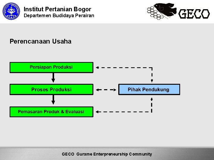 Institut Pertanian Bogor Departemen Budidaya Perairan Perencanaan Usaha Here comes your footer Community GECO