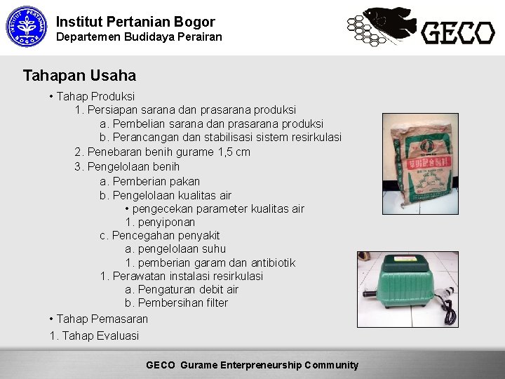 Institut Pertanian Bogor Departemen Budidaya Perairan Tahapan Usaha • Tahap Produksi 1. Persiapan sarana