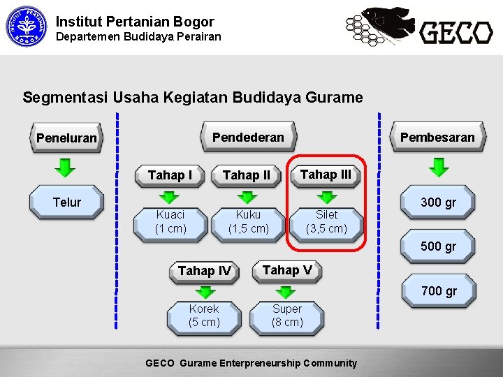 Institut Pertanian Bogor Departemen Budidaya Perairan Segmentasi Usaha Kegiatan Budidaya Gurame Pendederan Peneluran Tahap