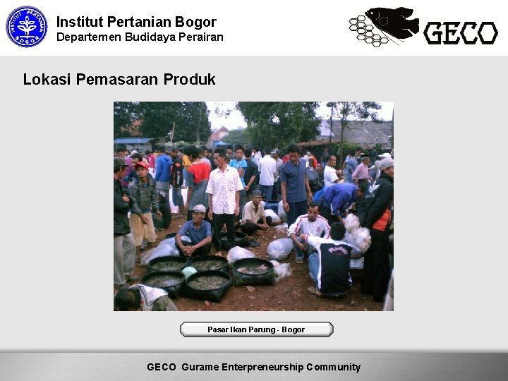 Institut Pertanian Bogor Departemen Budidaya Perairan Lokasi Pemasaran Produk Pasar Ikan Parung - Bogor