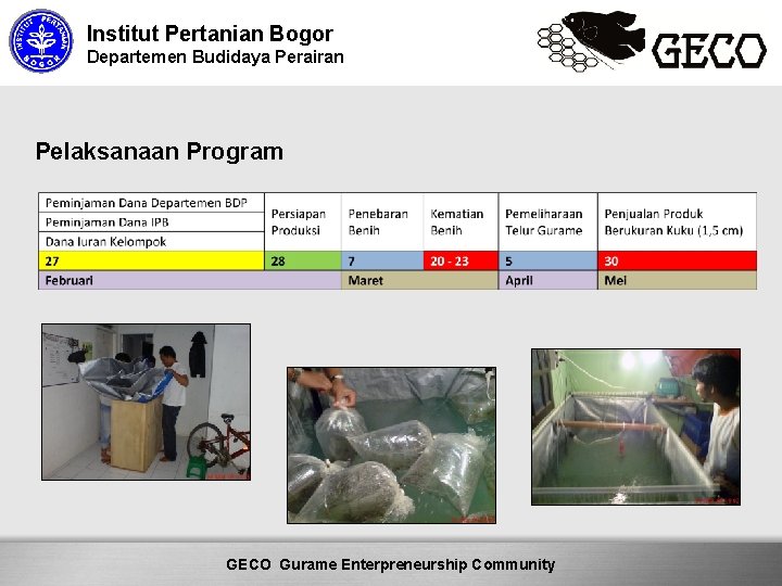 Institut Pertanian Bogor Departemen Budidaya Perairan Pelaksanaan Program Here comes your footer Community GECO