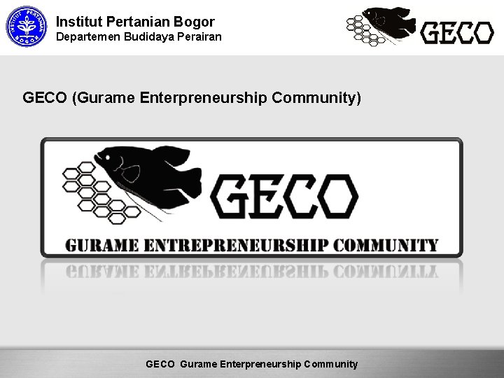 Institut Pertanian Bogor Departemen Budidaya Perairan GECO (Gurame Enterpreneurship Community) Here comes your footer