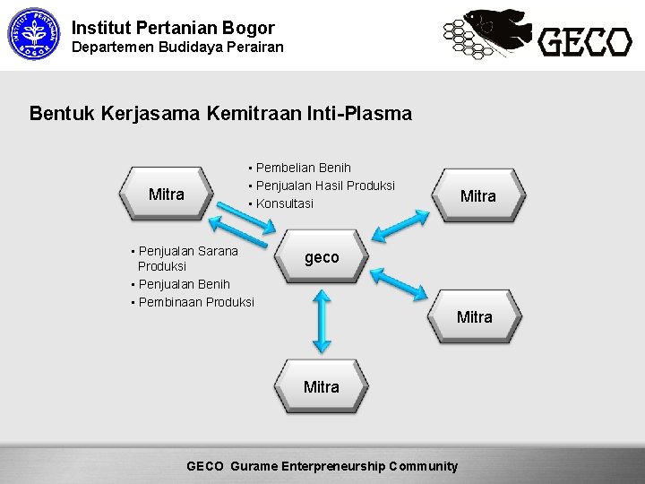 Institut Pertanian Bogor Departemen Budidaya Perairan Bentuk Kerjasama Kemitraan Inti-Plasma Mitra • Pembelian Benih