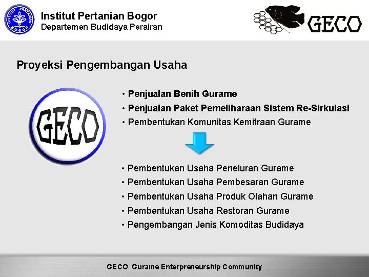 Institut Pertanian Bogor Departemen Budidaya Perairan Proyeksi Pengembangan Usaha • Penjualan Benih Gurame •