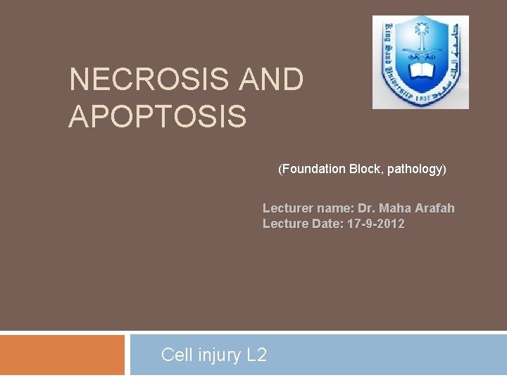 NECROSIS AND APOPTOSIS (Foundation Block, pathology) Lecturer name: Dr. Maha Arafah Lecture Date: 17