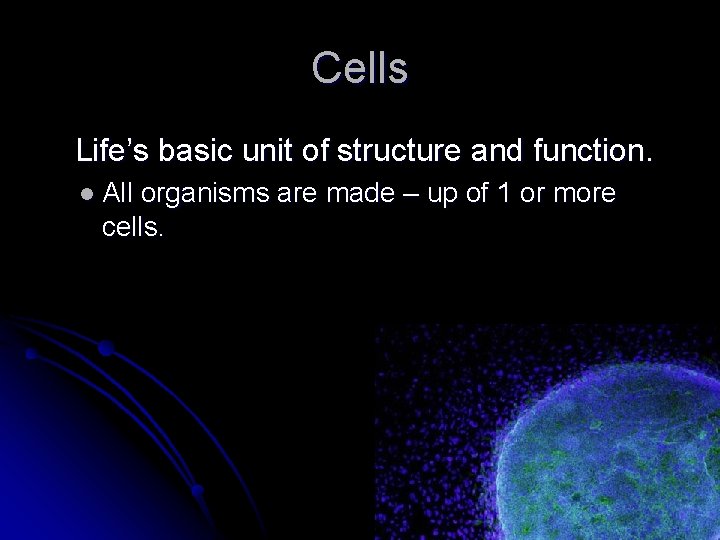 Cells Life’s basic unit of structure and function. l All organisms are made –