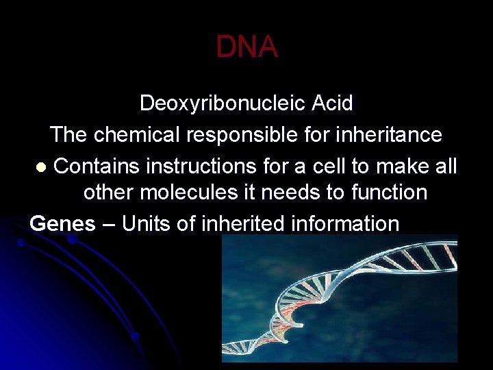 DNA Deoxyribonucleic Acid The chemical responsible for inheritance l Contains instructions for a cell