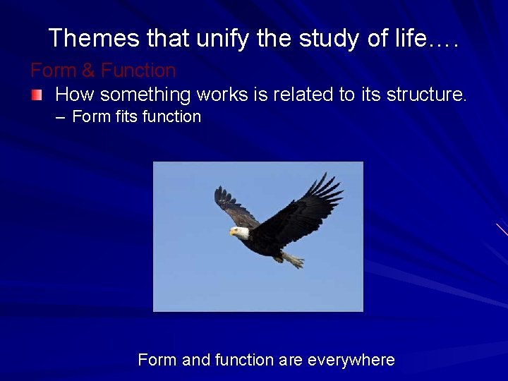 Themes that unify the study of life…. Form & Function How something works is