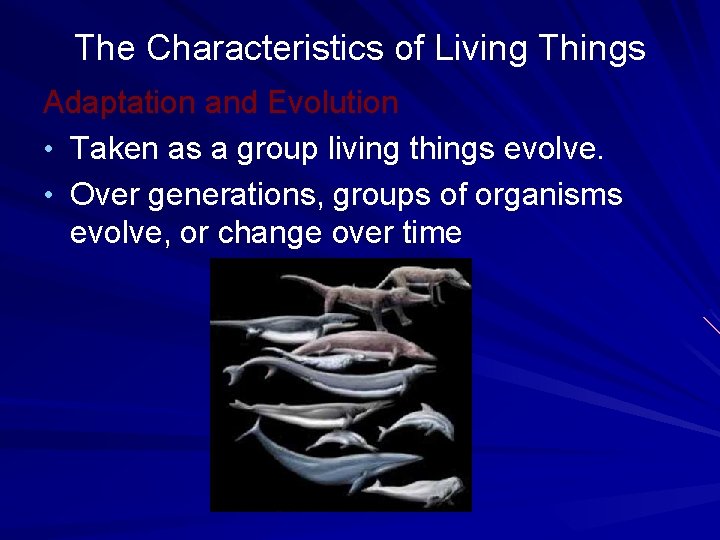 The Characteristics of Living Things Adaptation and Evolution • Taken as a group living