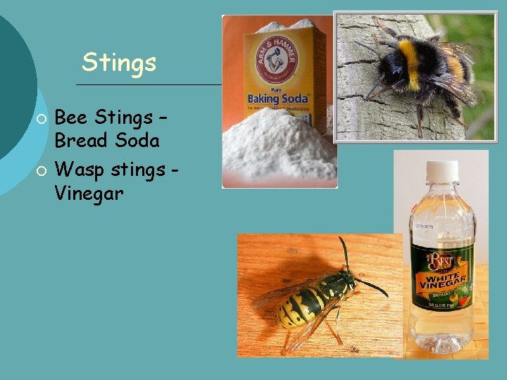 Stings Bee Stings – Bread Soda Wasp stings Vinegar 