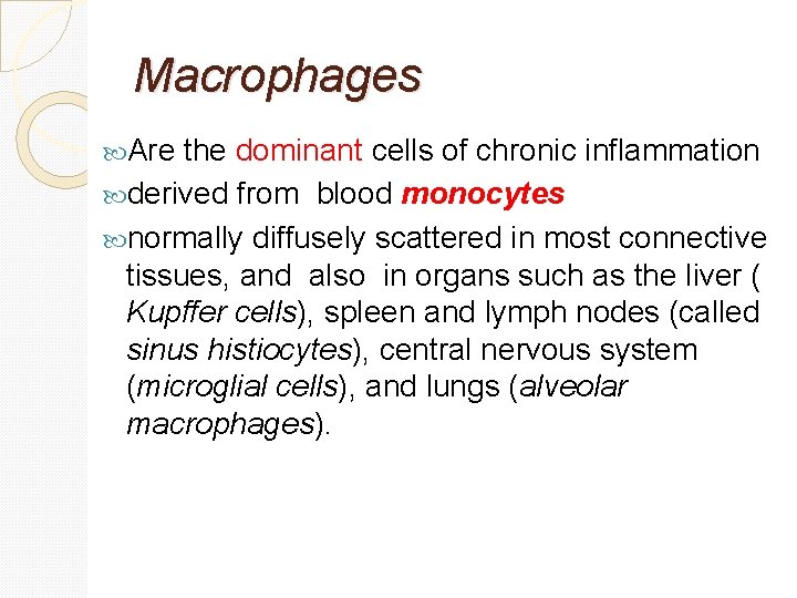 Macrophages Are the dominant cells of chronic inflammation derived from blood monocytes normally diffusely