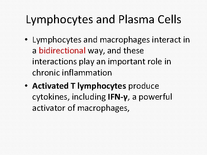 Lymphocytes and Plasma Cells • Lymphocytes and macrophages interact in a bidirectional way, and