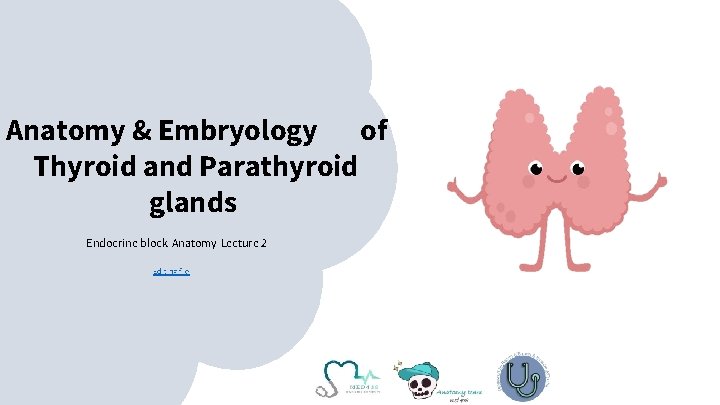 Anatomy & Embryology of Thyroid and Parathyroid glands Endocrine block-Anatomy-Lecture 2 Editing file 