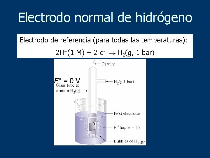 Electrodo normal de hidrógeno Electrodo de referencia (para todas las temperaturas): 2 H+(1 M)