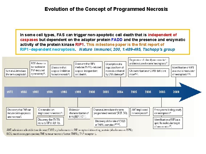 Evolution of the Concept of Programmed Necrosis In some cell types, FAS can trigger