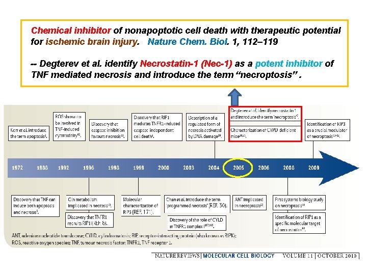 Chemical inhibitor of nonapoptotic cell death with therapeutic potential for ischemic brain injury. Nature