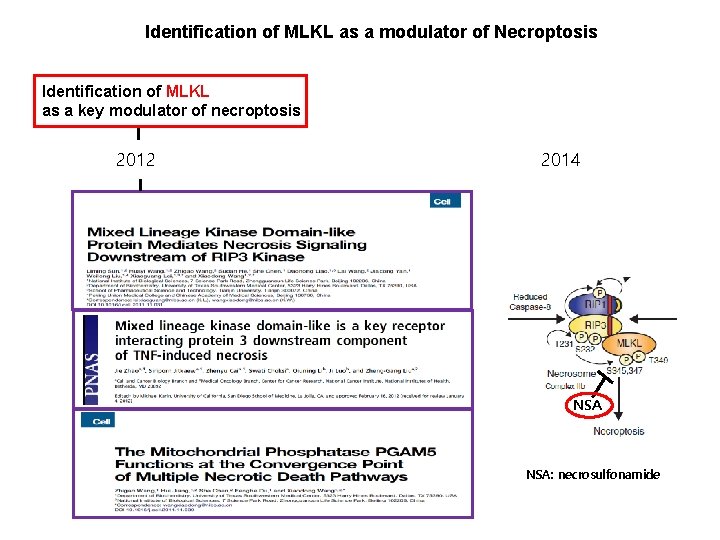 Identification of MLKL as a modulator of Necroptosis Identification of MLKL as a key