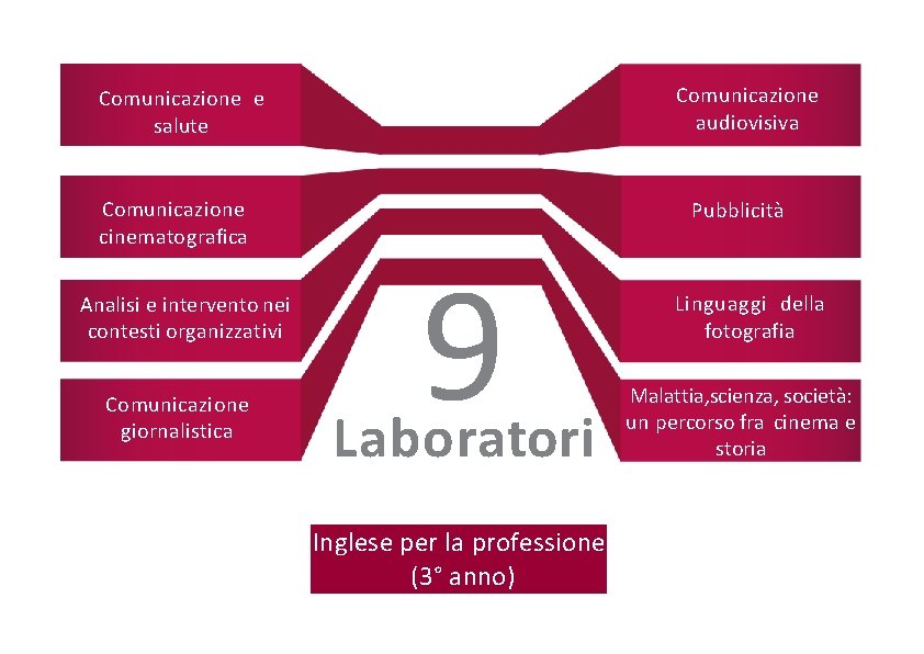 Comunicazione audiovisiva Comunicazione e salute Comunicazione cinematografica Analisi e intervento nei contesti organizzativi Comunicazione