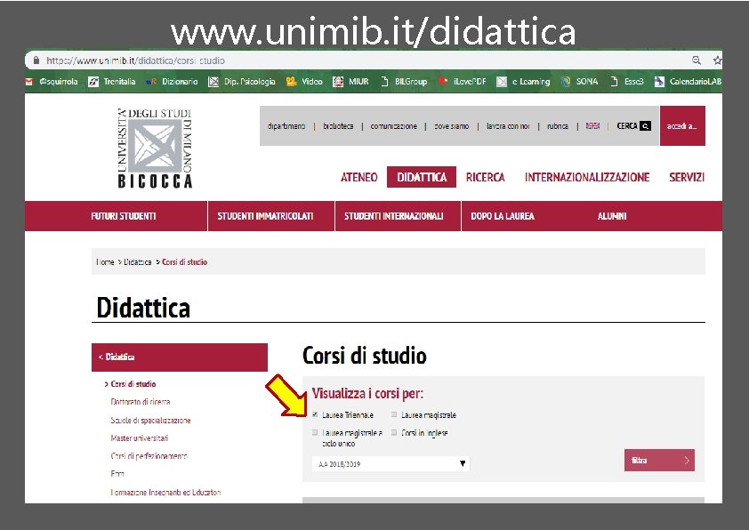 www. unimib. it/didattica Tutti i bandi sono reperibili su www. unimib. it sezione “offerta