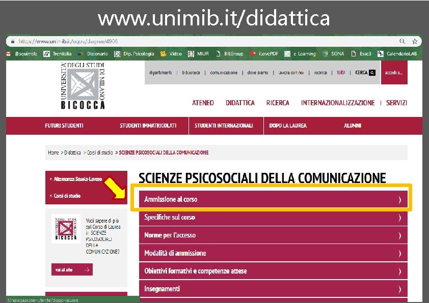 www. unimib. it/didattica Tutti i bandi sono reperibili su www. unimib. it sezione “offerta