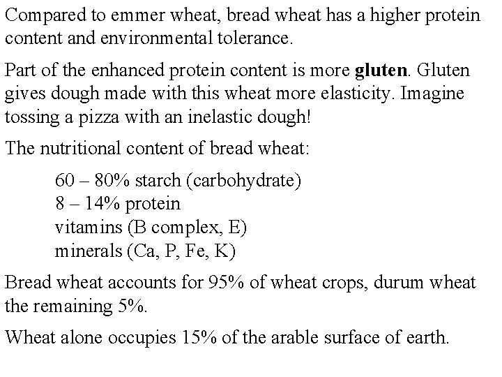 Compared to emmer wheat, bread wheat has a higher protein content and environmental tolerance.