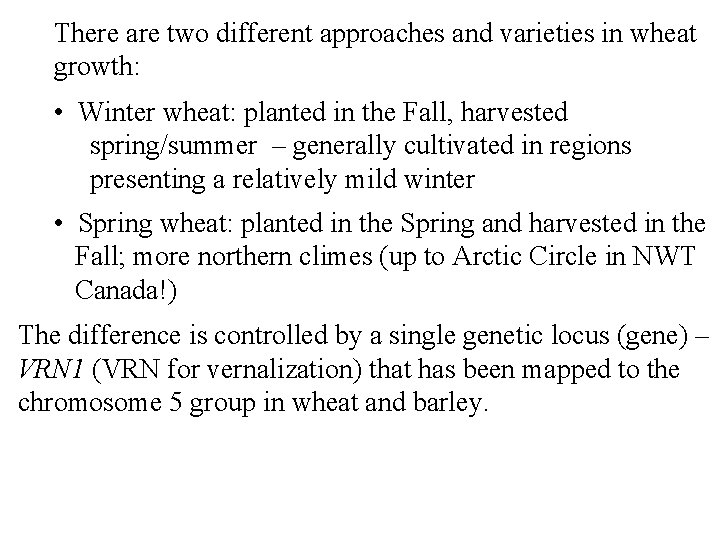 There are two different approaches and varieties in wheat growth: • Winter wheat: planted
