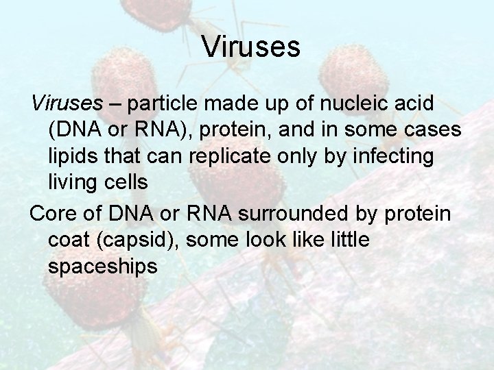 Viruses – particle made up of nucleic acid (DNA or RNA), protein, and in