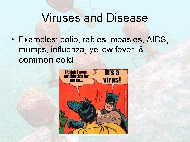 Viruses and Disease • Examples: polio, rabies, measles, AIDS, mumps, influenza, yellow fever, &