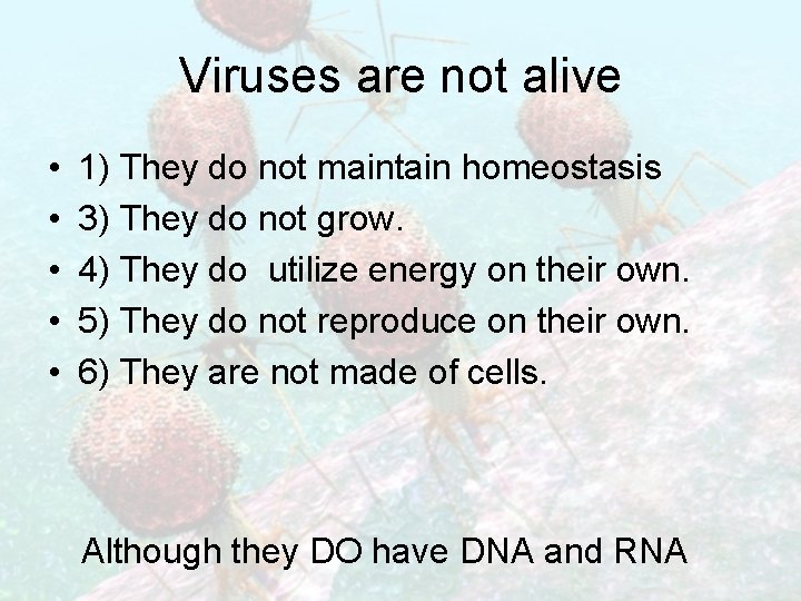 Viruses are not alive • • • 1) They do not maintain homeostasis 3)