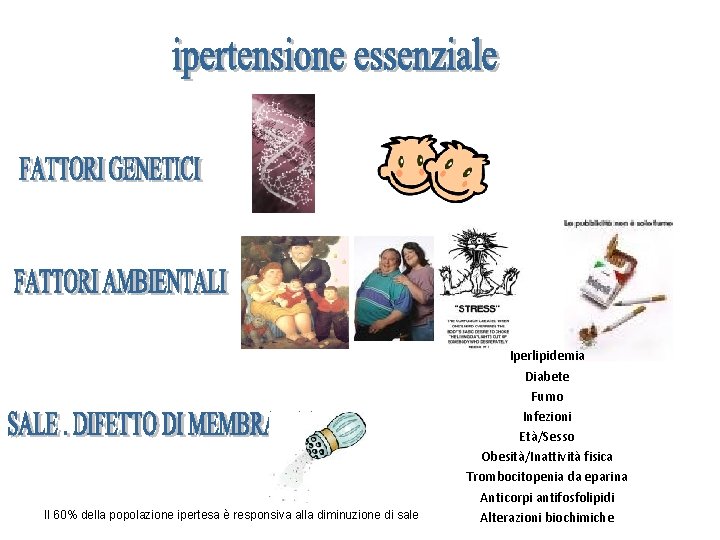 Il 60% della popolazione ipertesa è responsiva alla diminuzione di sale Iperlipidemia Diabete Fumo