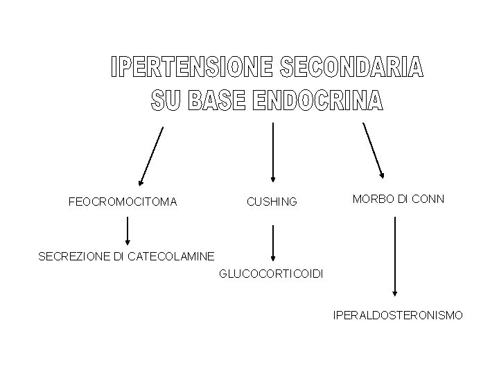 FEOCROMOCITOMA CUSHING MORBO DI CONN SECREZIONE DI CATECOLAMINE GLUCOCORTICOIDI IPERALDOSTERONISMO 