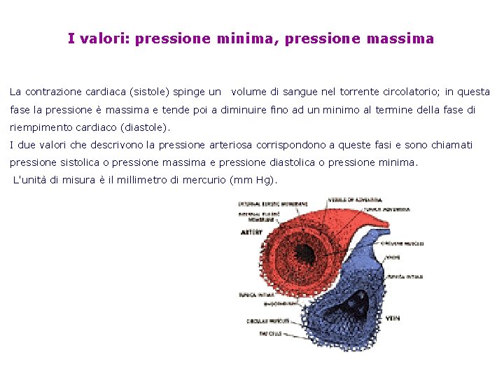 I valori: pressione minima, pressione massima La contrazione cardiaca (sistole) spinge un volume di