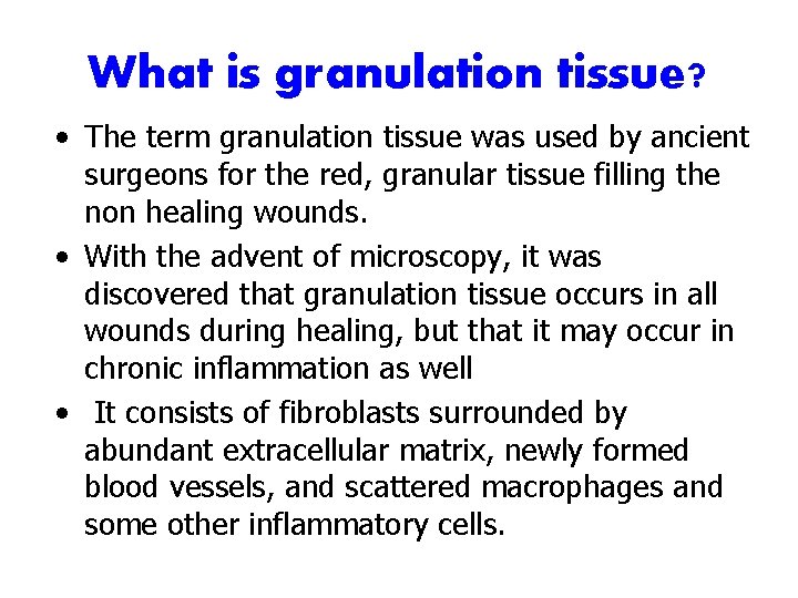 What is granulation tissue? • The term granulation tissue was used by ancient surgeons
