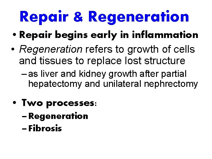 Repair & Regeneration • Repair begins early in inflammation • Regeneration refers to growth