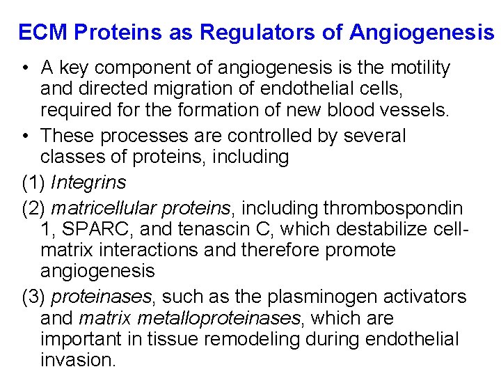 ECM Proteins as Regulators of Angiogenesis • A key component of angiogenesis is the