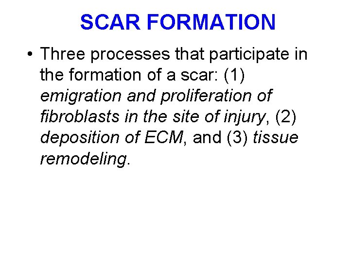 SCAR FORMATION • Three processes that participate in the formation of a scar: (1)