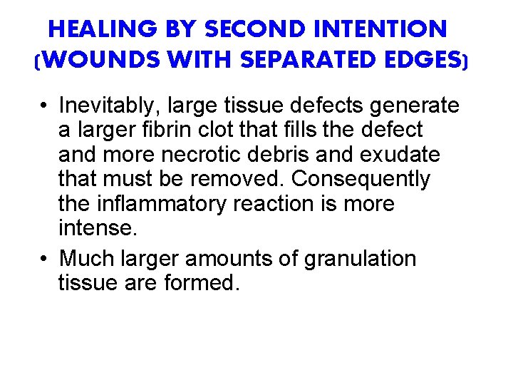 HEALING BY SECOND INTENTION (WOUNDS WITH SEPARATED EDGES) • Inevitably, large tissue defects generate
