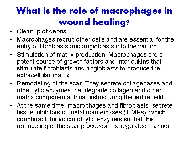 What is the role of macrophages in wound healing? • Cleanup of debris. •