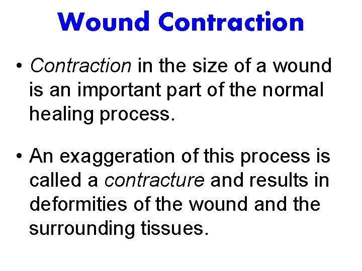 Wound Contraction • Contraction in the size of a wound is an important part