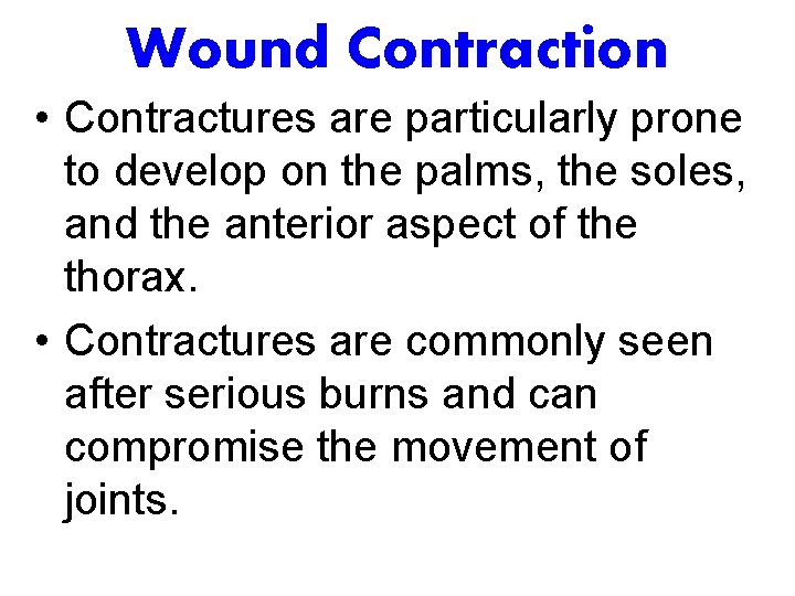 Wound Contraction • Contractures are particularly prone to develop on the palms, the soles,