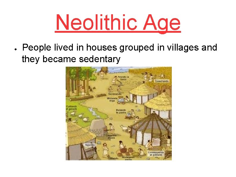 Neolithic Age ● People lived in houses grouped in villages and they became sedentary