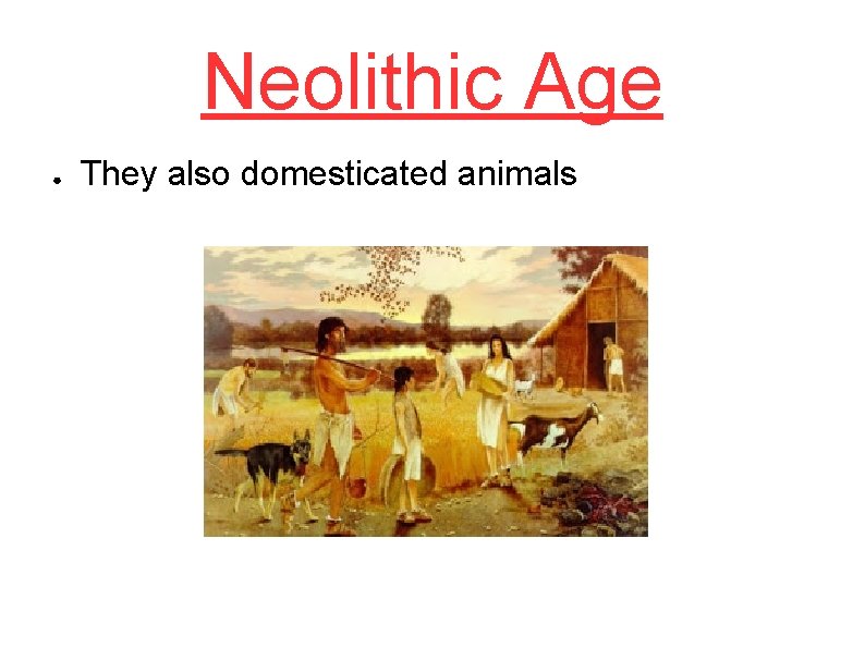 Neolithic Age ● They also domesticated animals 