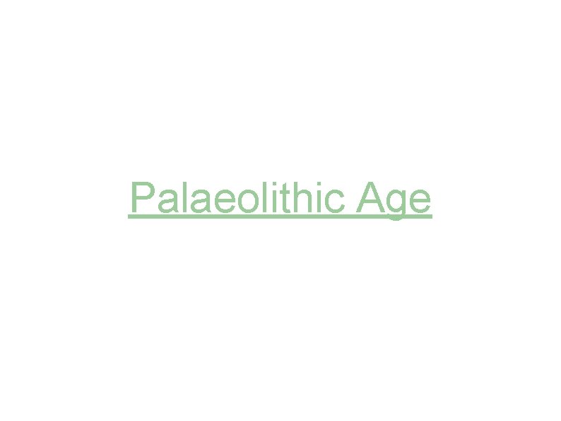 Palaeolithic Age 