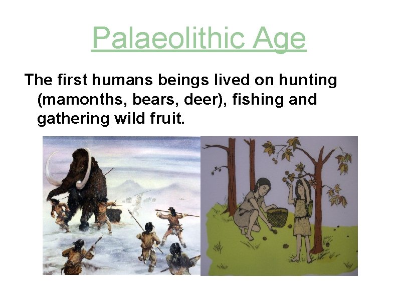 Palaeolithic Age The first humans beings lived on hunting (mamonths, bears, deer), fishing and