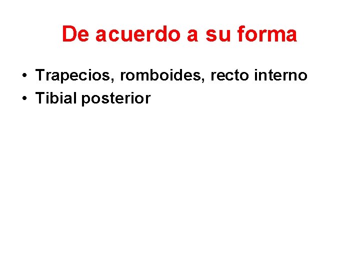De acuerdo a su forma • Trapecios, romboides, recto interno • Tibial posterior 