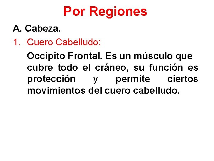 Por Regiones A. Cabeza. 1. Cuero Cabelludo: Occipito Frontal. Es un músculo que cubre